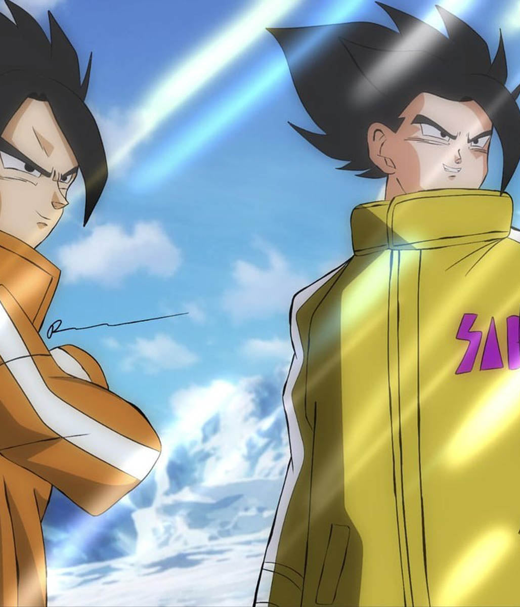 Gogeto Goku Dragon Ball Z SAB Jacket