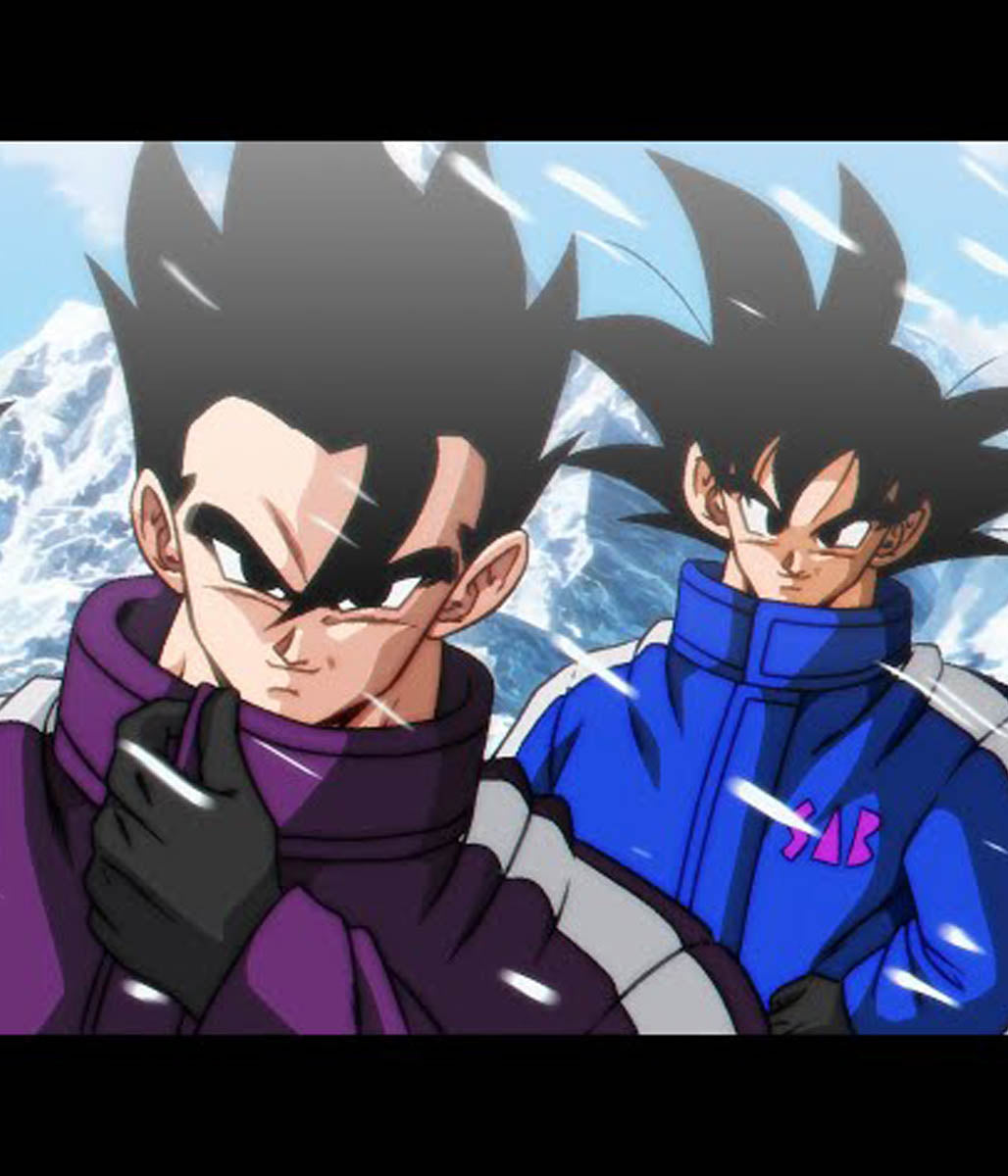Gogeto Goku Dragon Ball Z SAB Jacket